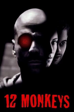 12 Monkeys (1995) Hindi Dual Audio [1GB] Movie Poster