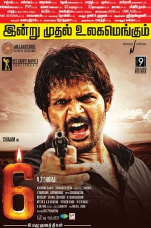 6 Candles (2013) Hindi Dubbed [950MB] Movie Poster