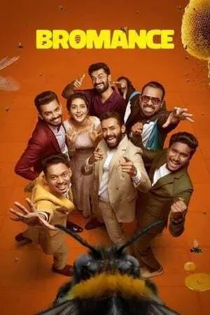 Bromance 2025 Hindi Dual Audio Movie Poster