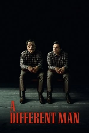 A Different Man 2024 Hindi Dual Audio