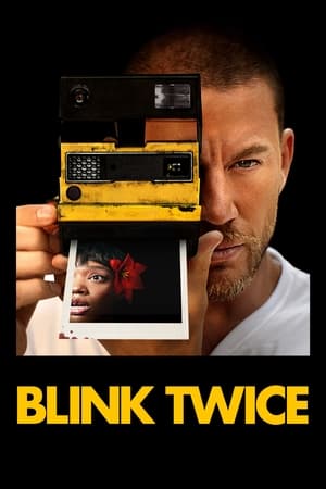Blink Twice 2024 Hindi Dual Audio Movie Poster