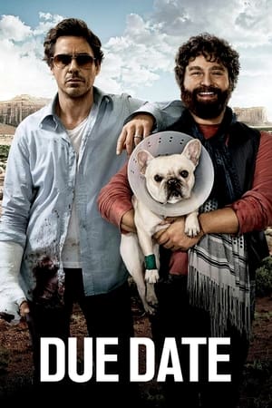 Due Date (2010) Hindi Dual Audio [850MB] Movie Poster