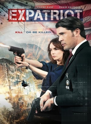 ExPatriot 2017 Hindi Dual Audio [870MB] Movie Poster