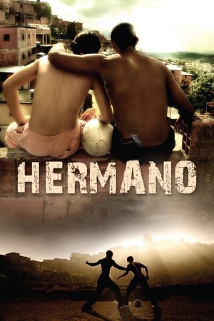 Hermano 2010 Hindi Dual Audio 300MB Movie Poster