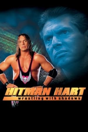 Hitman (1998) Hindi Dual Audio [1.1GB] Movie Poster