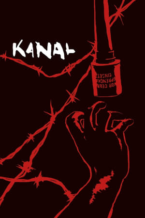 Kanal 2015 Hindi Dual Audio 450MB Movie Poster