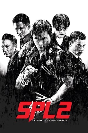 Kill Zone 2 (2015) Hindi Dual Audio 400MB Movie Poster