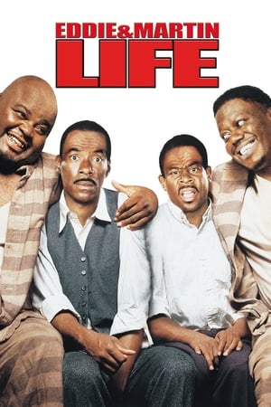 Life (1999) Movie Hindi Dual Audio [2GB] Movie Poster
