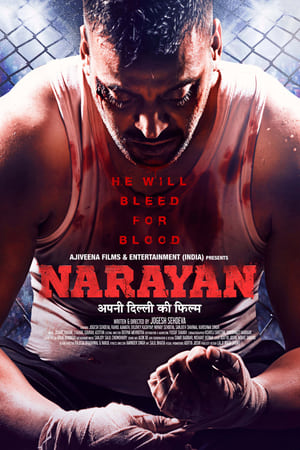 Narayan (2017) Hindi Movie [1.1GB] Movie Poster