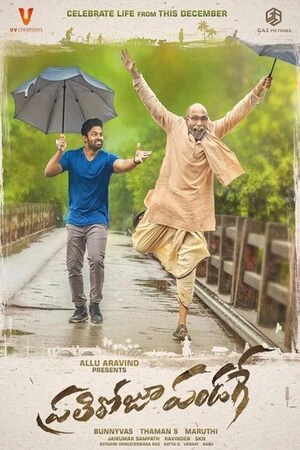 Prati Roju Pandaage 2019 Hindi Dual Audio Movie Poster