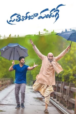 Prati Roju Pandage (Har Din Diwali) (2019) Hindi Dubbed [1.1GB] Movie Poster