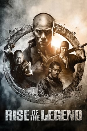 Rise of the Legend 2014 Hindi Dual Audio 440MB Movie Poster