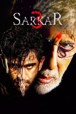 Sarkar 3 (2017) Full Movie (Hindi) [700MB] Download Movie Poster