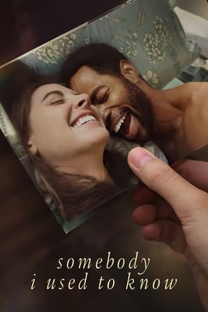 Somebody I Used to Know 2023 Hindi Dual Audio – Movie Poster