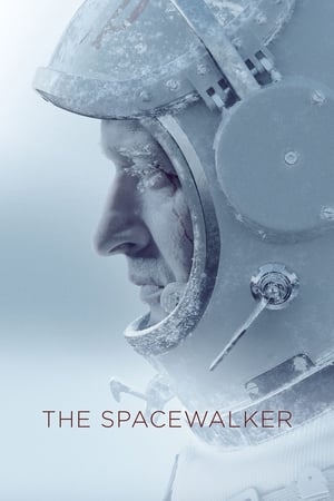 Spacewalk 2017 Hindi Dual Audio – Movie Poster