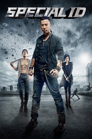 Special ID (2013) Hindi Dual Audio [1.3GB] ESubs Movie Poster