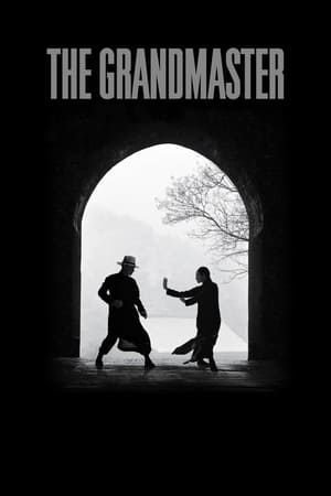 The Grandmaster (2013) Hindi Dual Audio [1GB] ESubs Movie Poster